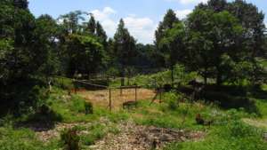 Nursery for 30,000 tree seedlings