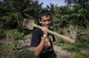 Replanting Rainforest in Sumatra, Indonesia