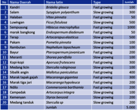 Tree species at Bukit Mas