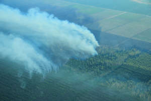 Fires burn in Tripa (photo by SOCP, taken in 2012)