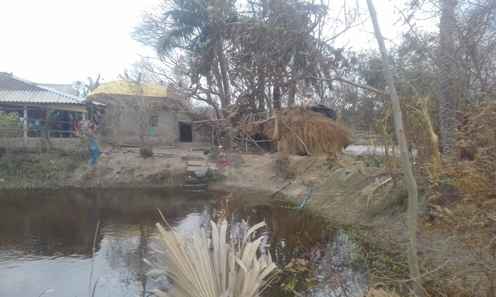 Rescue relief & Rehabilitation of YASS victims