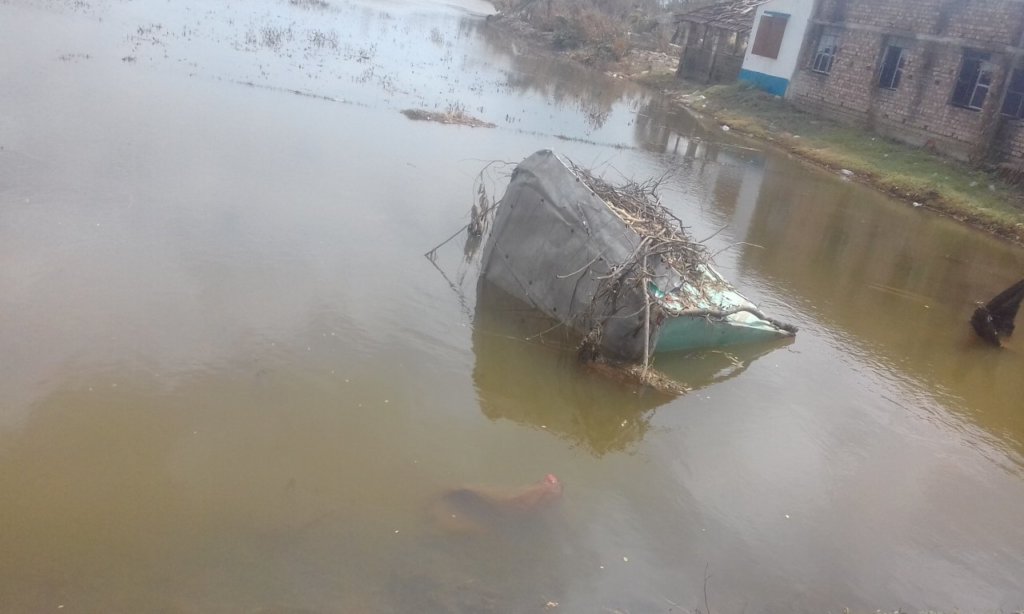 Rescue relief & Rehabilitation of YASS victims