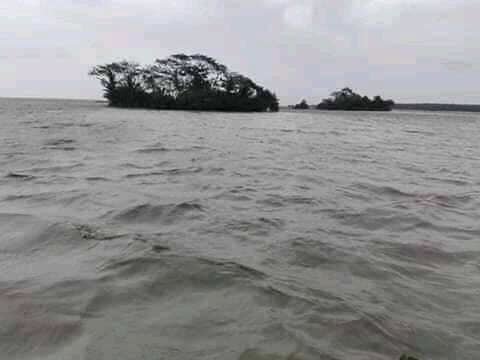 Rescue relief & Rehabilitation of YASS victims