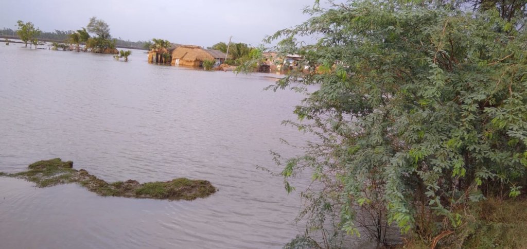 Rescue relief & Rehabilitation of YASS victims