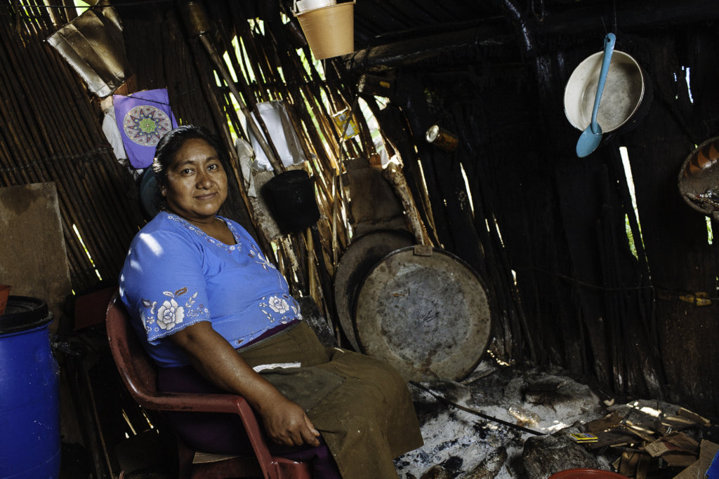 Climate Action: Enabling 20 Households in Mexico