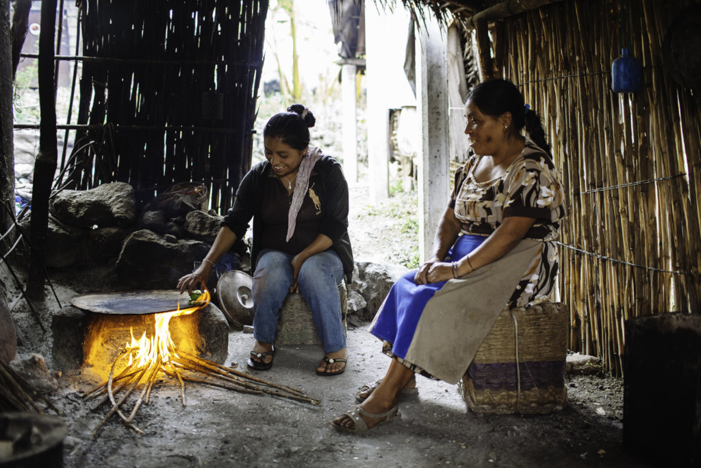 Climate Action: Enabling 20 Households in Mexico