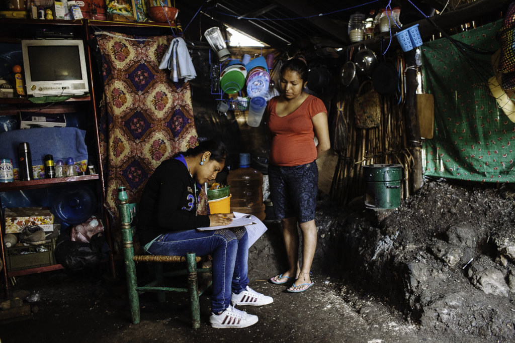 Climate Action: Enabling 20 Households in Mexico