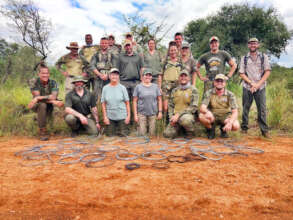 47 large cable snares removed in one sweep.