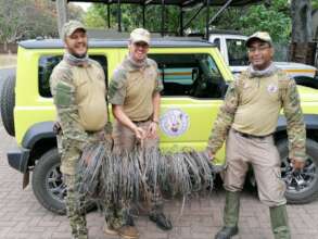 PNHF Directors holding hundreds of snares removed.