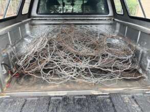 Over 200 snares from one reserve.