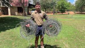 Snares removed during one recent operation