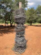 Over 600 snares removed since January 2023