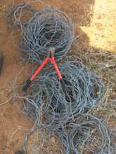 Snares removed in one morning