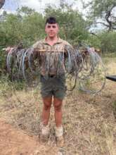 62 Snares removed during an operation
