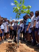 Children plating donated trees on wetland day.