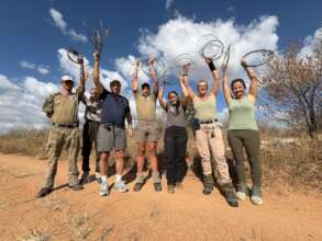 Team holding snares removed during a snare sweep