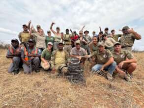 PNHF Team and volunteers with 130 snares removed