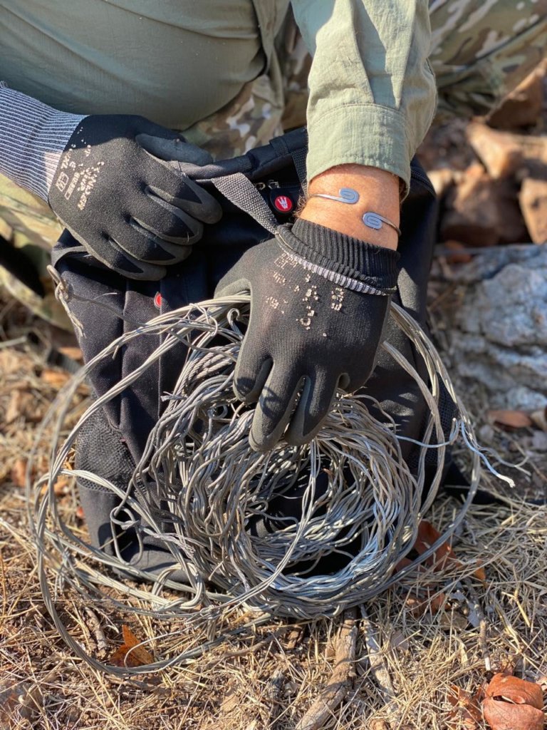 Rescuing Imperiled Wildlife in South Africa