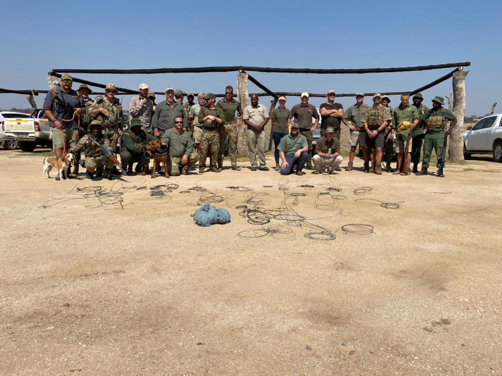 Rescuing Imperiled Wildlife in South Africa