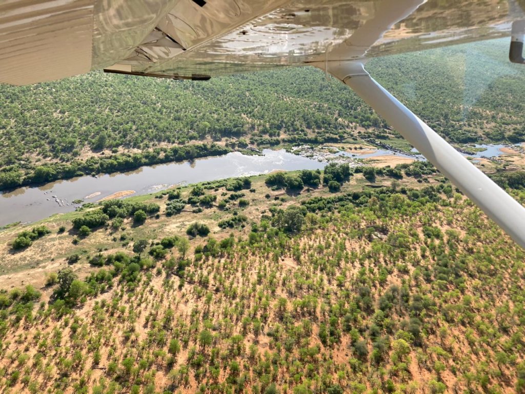 Rescuing Imperiled Wildlife in South Africa