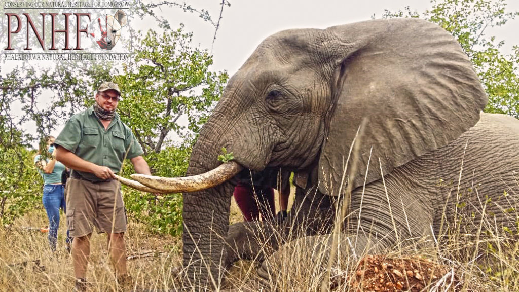 Rescuing Imperiled Wildlife in South Africa