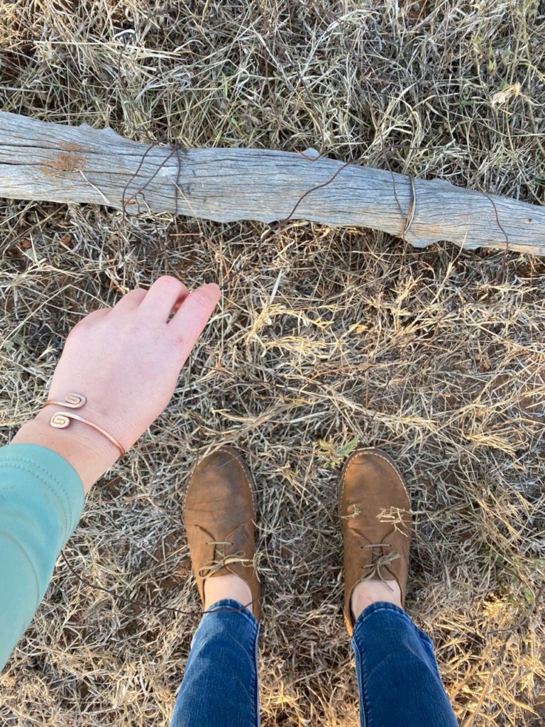 Rescuing Imperiled Wildlife in South Africa