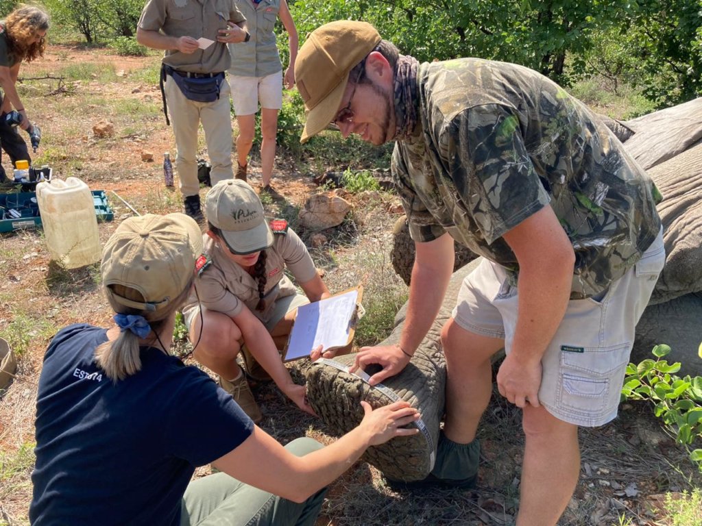 Rescuing Imperiled Wildlife in South Africa