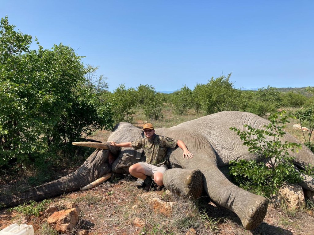 Rescuing Imperiled Wildlife in South Africa