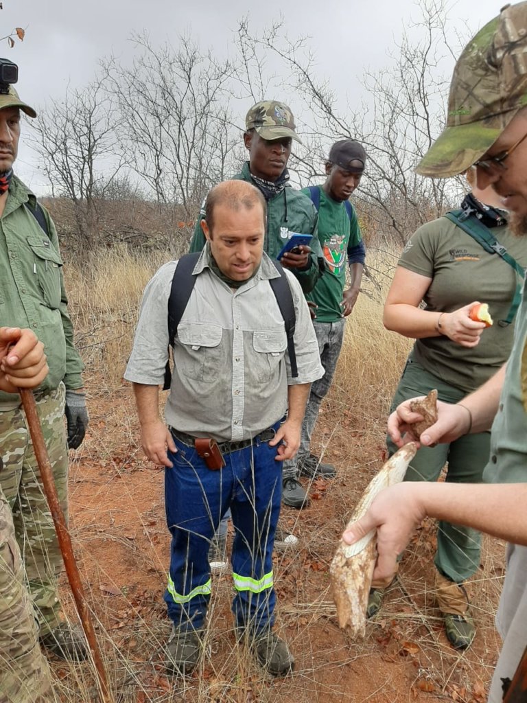 Rescuing Imperiled Wildlife in South Africa