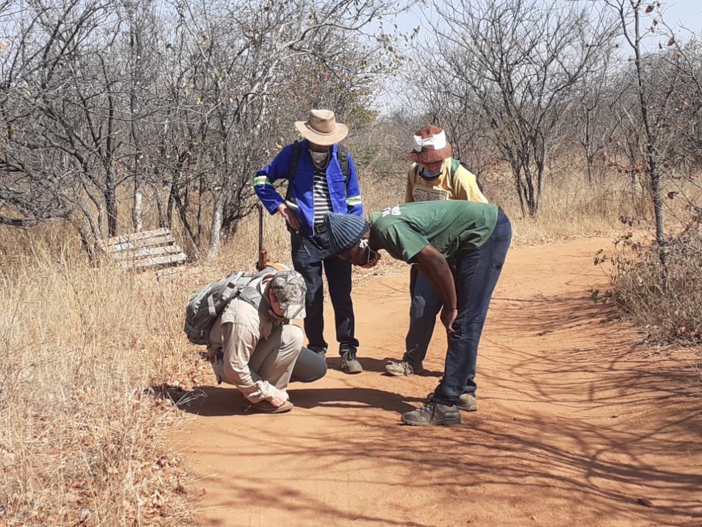 Rescuing Imperiled Wildlife in South Africa