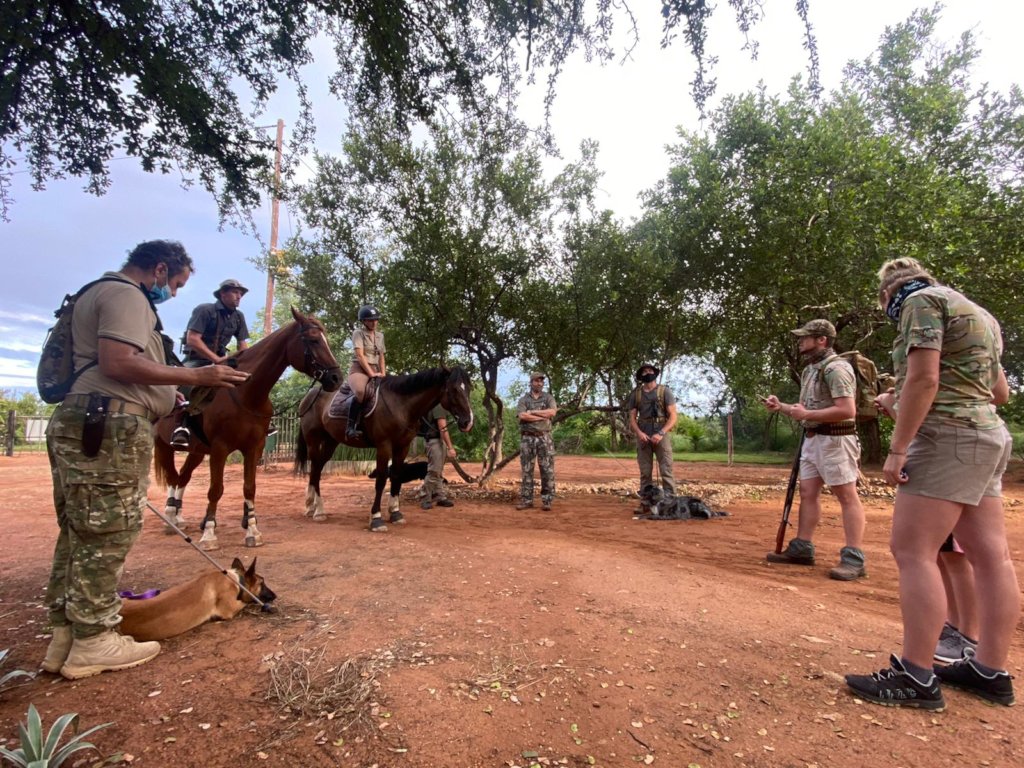 Rescuing Imperiled Wildlife in South Africa