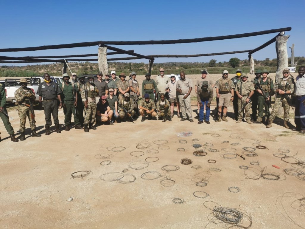 Rescuing Imperiled Wildlife in South Africa