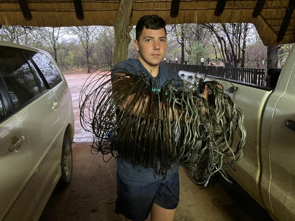 Rescuing Imperiled Wildlife in South Africa