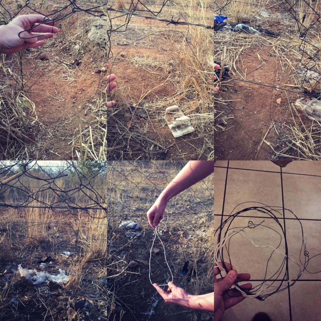 Rescuing Imperiled Wildlife in South Africa