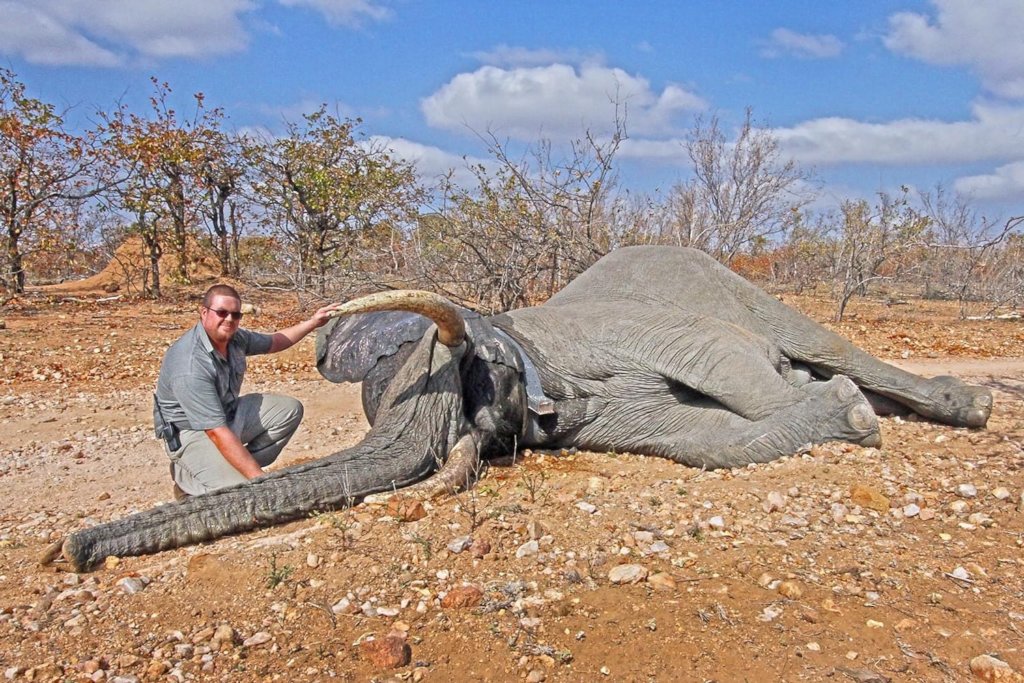 Rescuing Imperiled Wildlife in South Africa