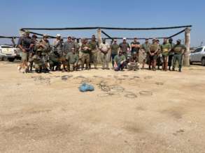 Successful snare sweep operation