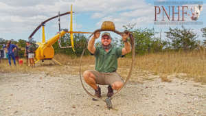 Replacing an elephant's tracking collar