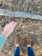 Cable Snare set by poachers