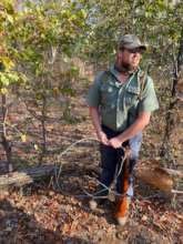 Large Snare set by poachers