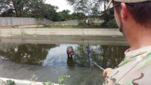 Hippo Rescue