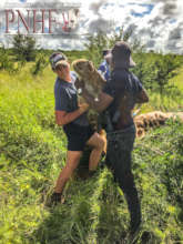 Giraffe Rescue