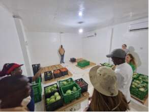 The cold store at Mbata