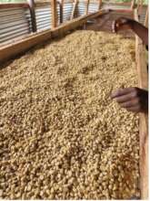 Maize milling at Mbata