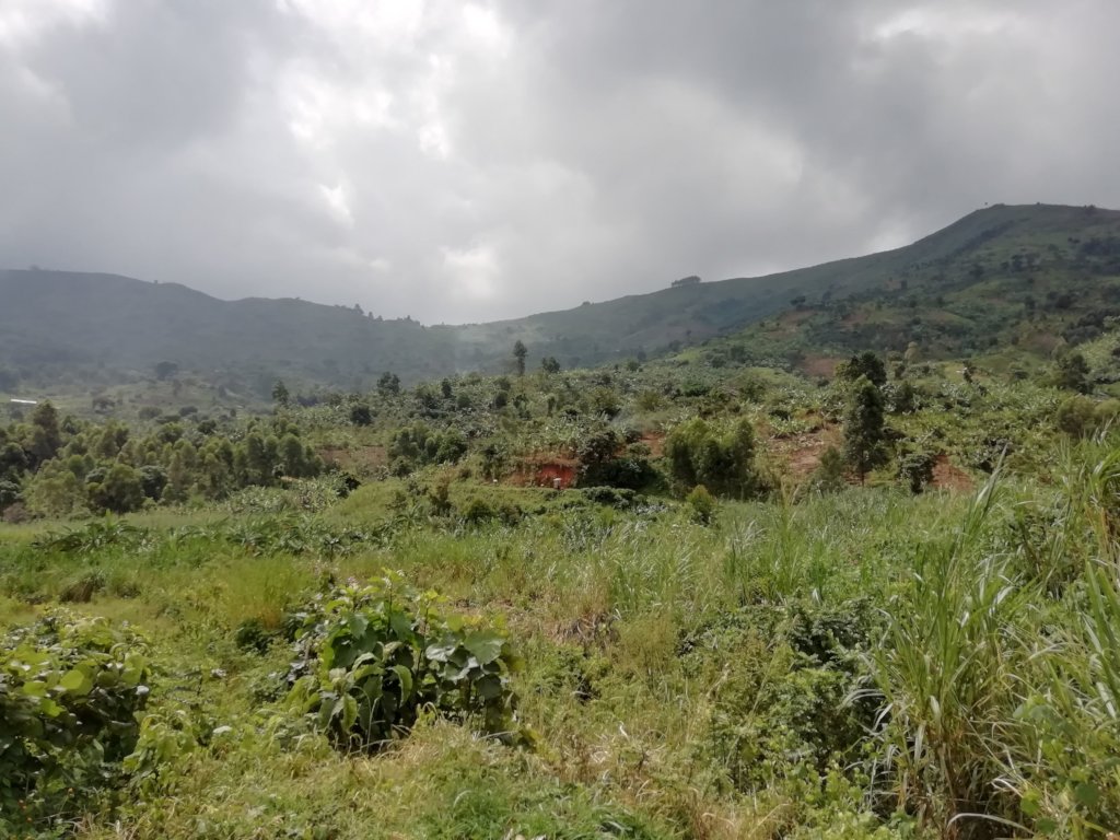 Improve 500 farmers' productivity in Mbata, Uganda