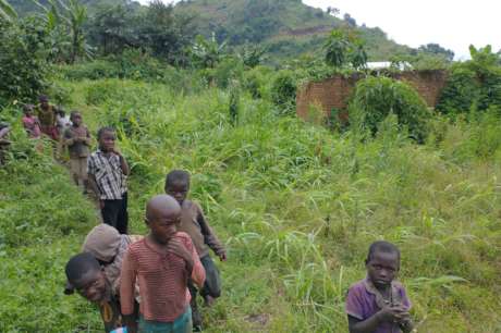 Improve 500 farmers' productivity in Mbata, Uganda