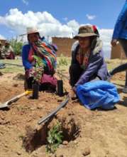 women working in the field