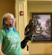 Juniper, the Great Horned Owl, at a program.