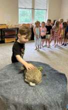 Dandelion meeting kids.