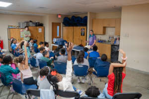 Learning about Basil