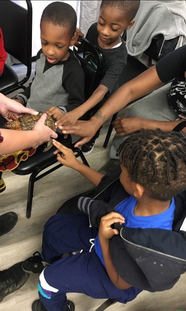 Help 50 Title 1 Classrooms Meet Wildlife Up-Close!